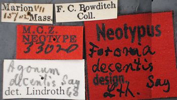 Media type: image;   Entomology 33020 Aspect: labels